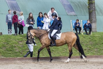 Bild 383 - Pony Akademie Turnier